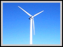 Wind Energy Survey for IEAust